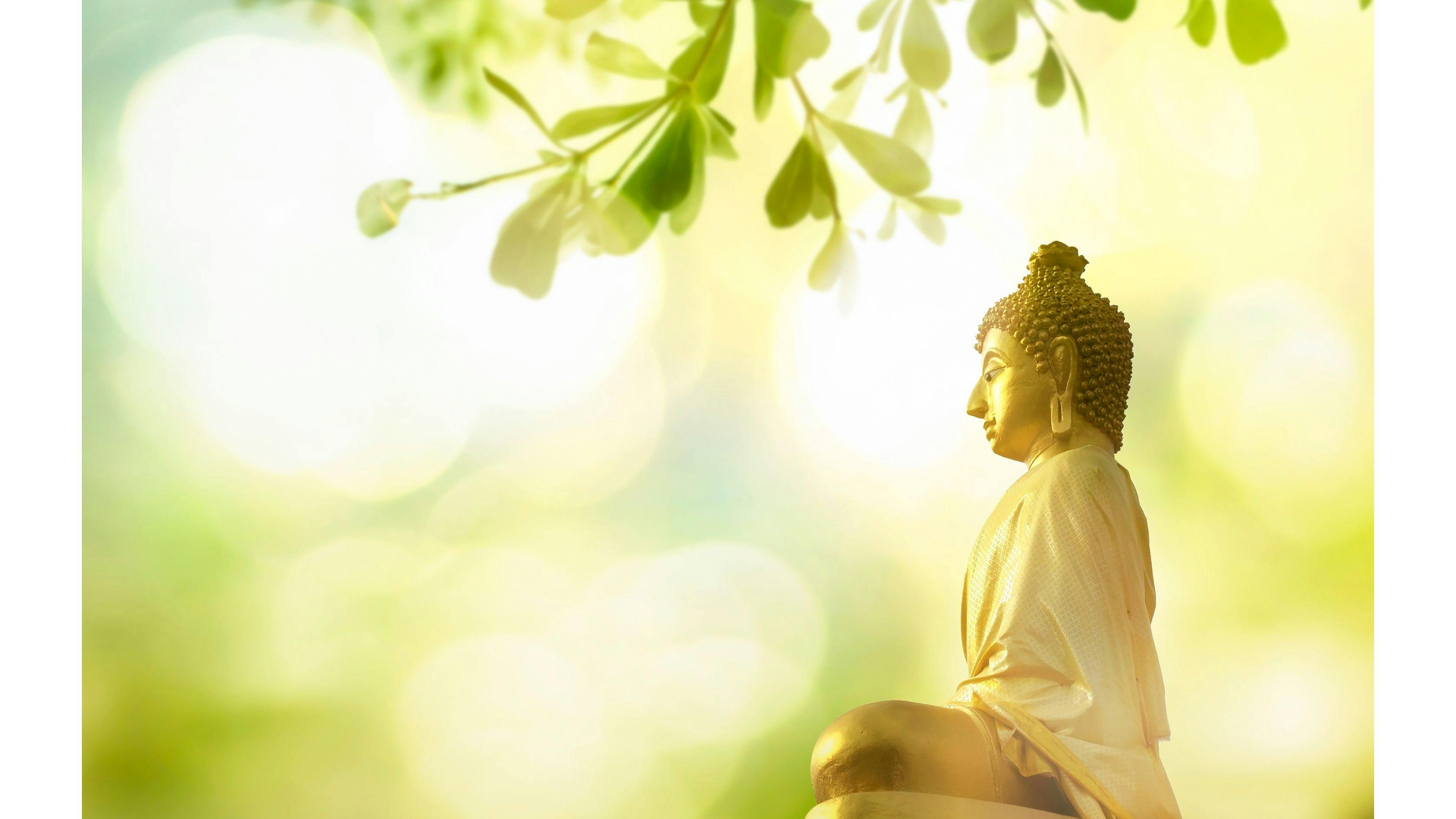 Experience Vesak Day Celebrations